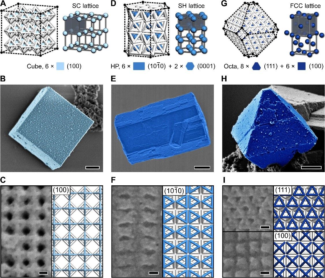 世界杯投注平台