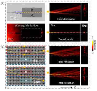 世界杯投注平台