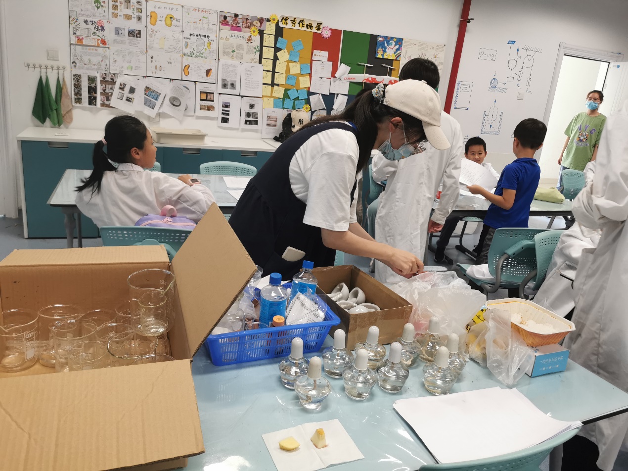 世界杯投注平台