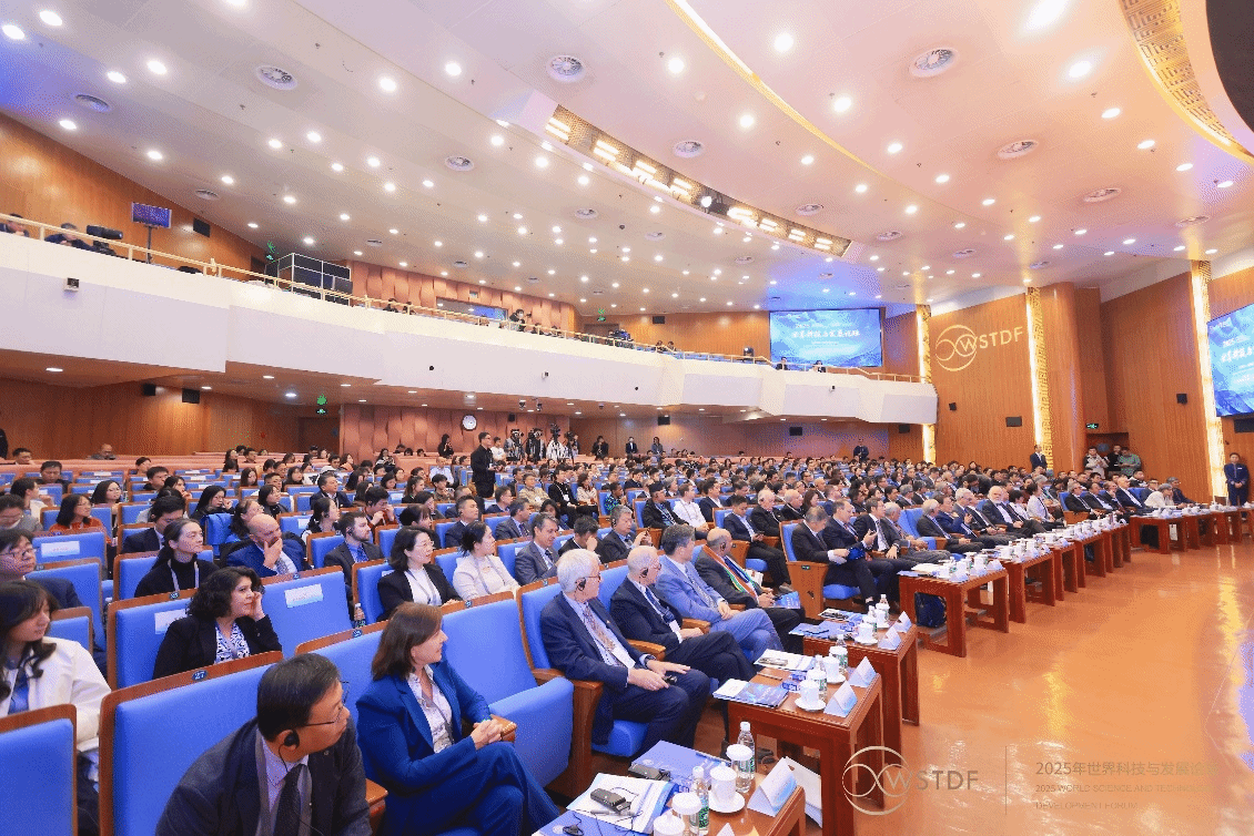 世界杯投注平台