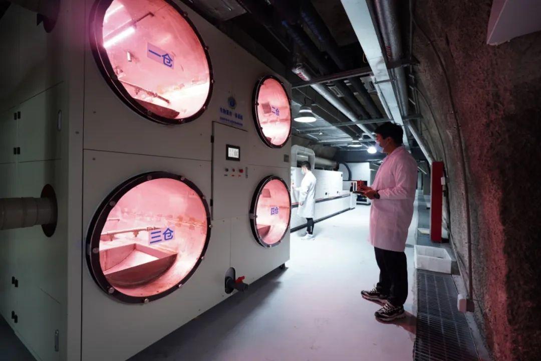 世界杯投注平台