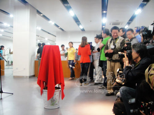 世界杯投注平台