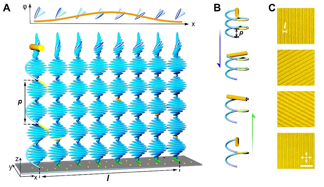 世界杯投注平台
