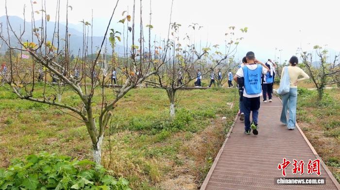 世界杯投注平台