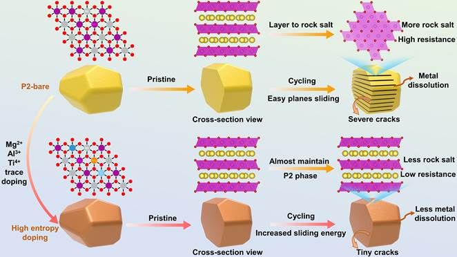 世界杯投注平台