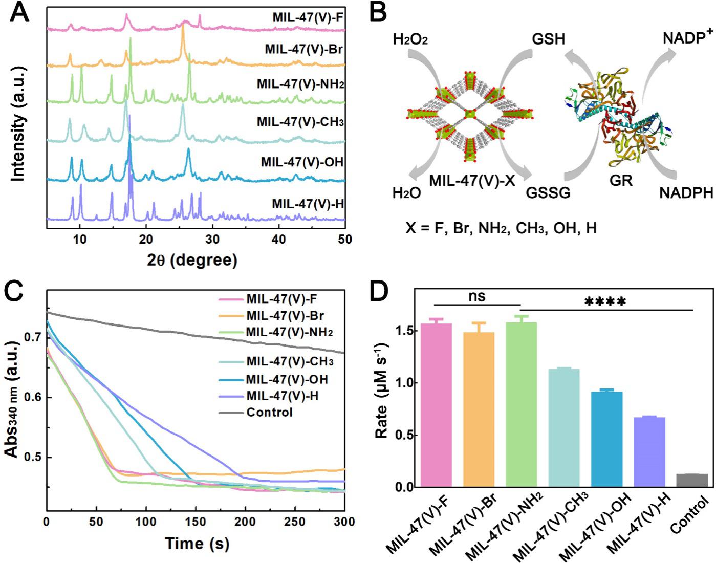 世界杯投注平台