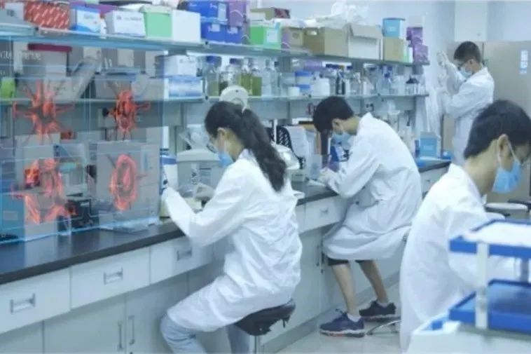 世界杯投注平台