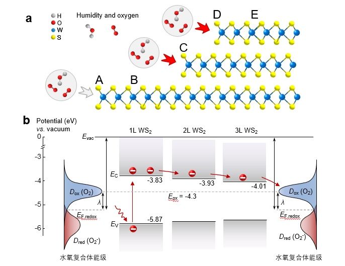 世界杯投注平台