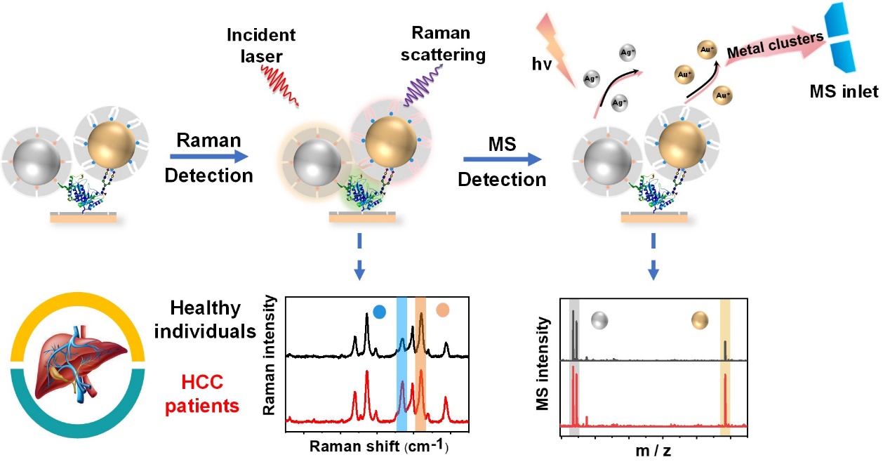 世界杯投注平台