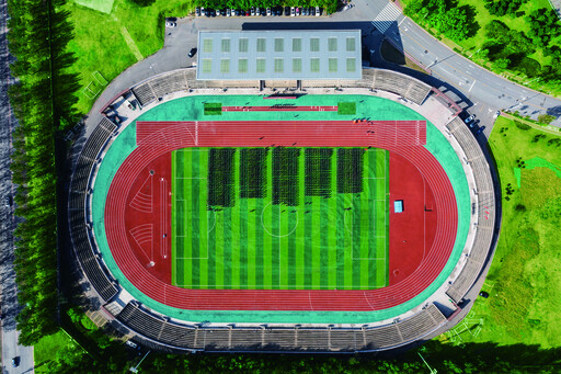 世界杯投注平台