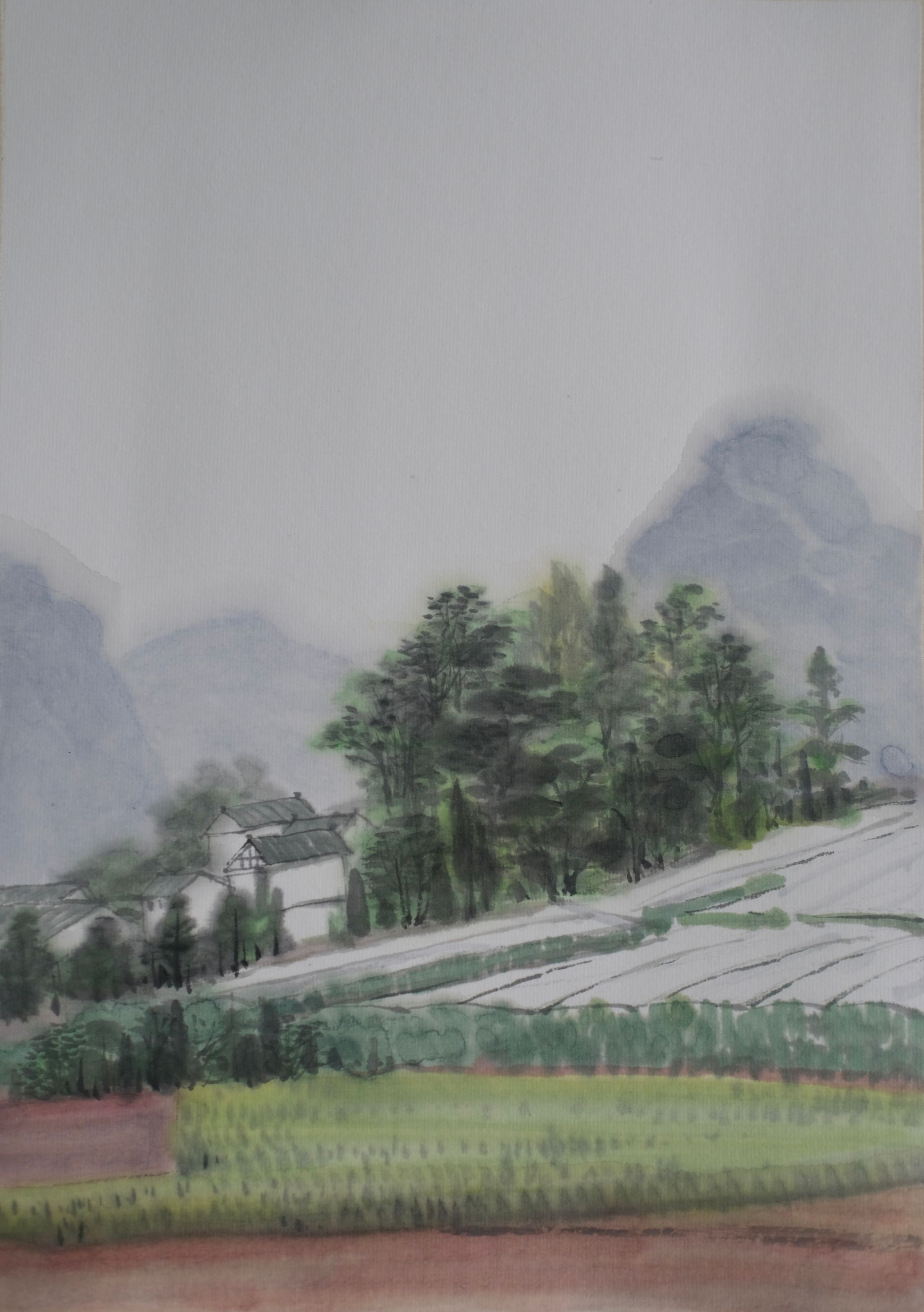 世界杯投注平台