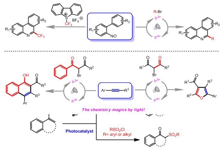 世界杯投注平台