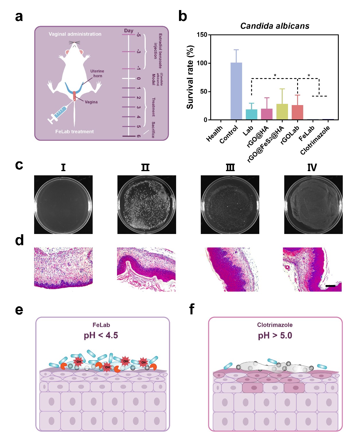 魏辉1 世界杯投注平台