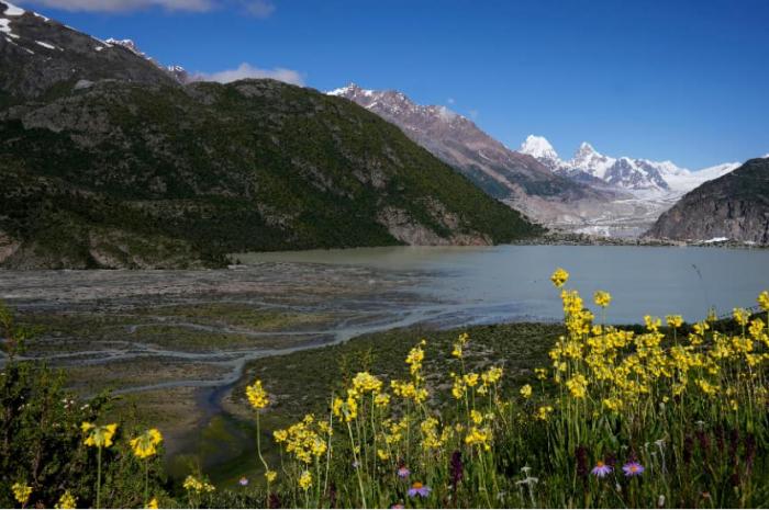 世界杯投注平台