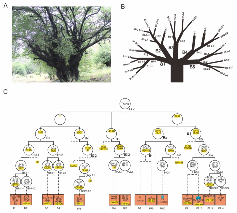 世界杯投注平台
