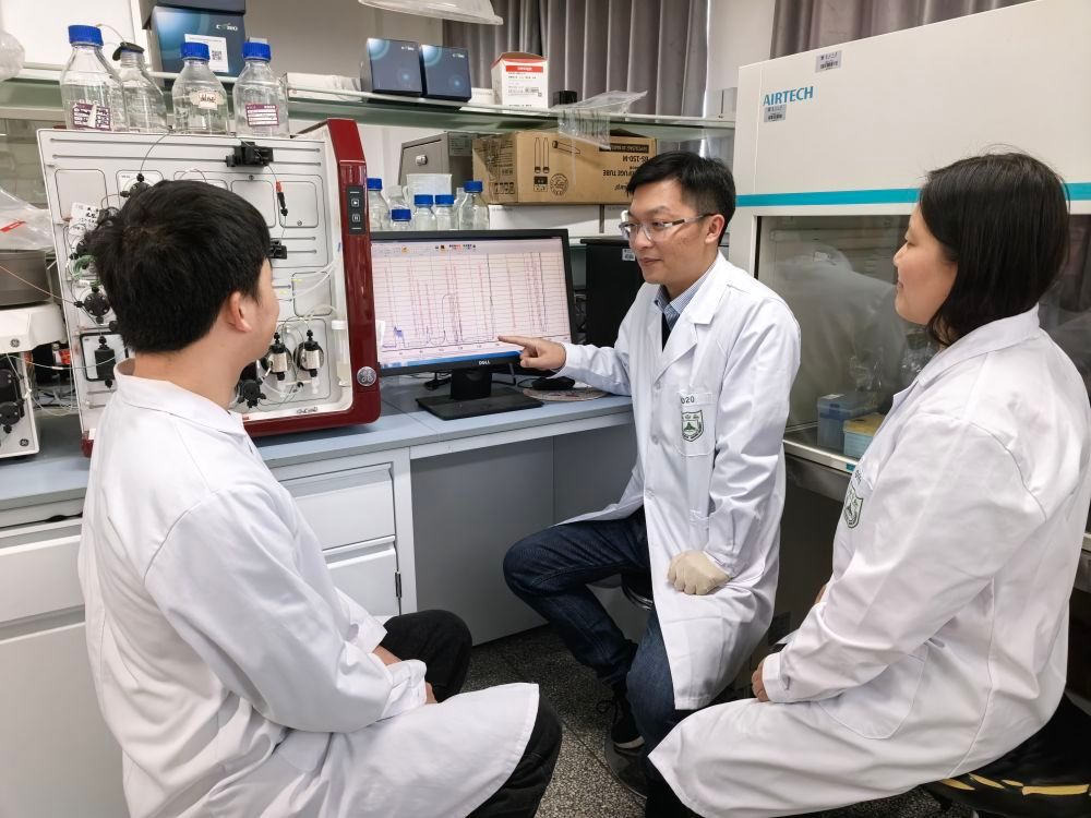 世界杯投注平台