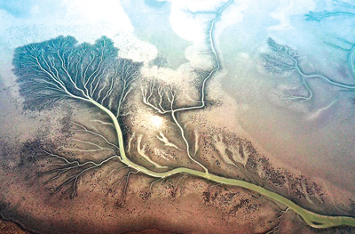 世界杯投注平台