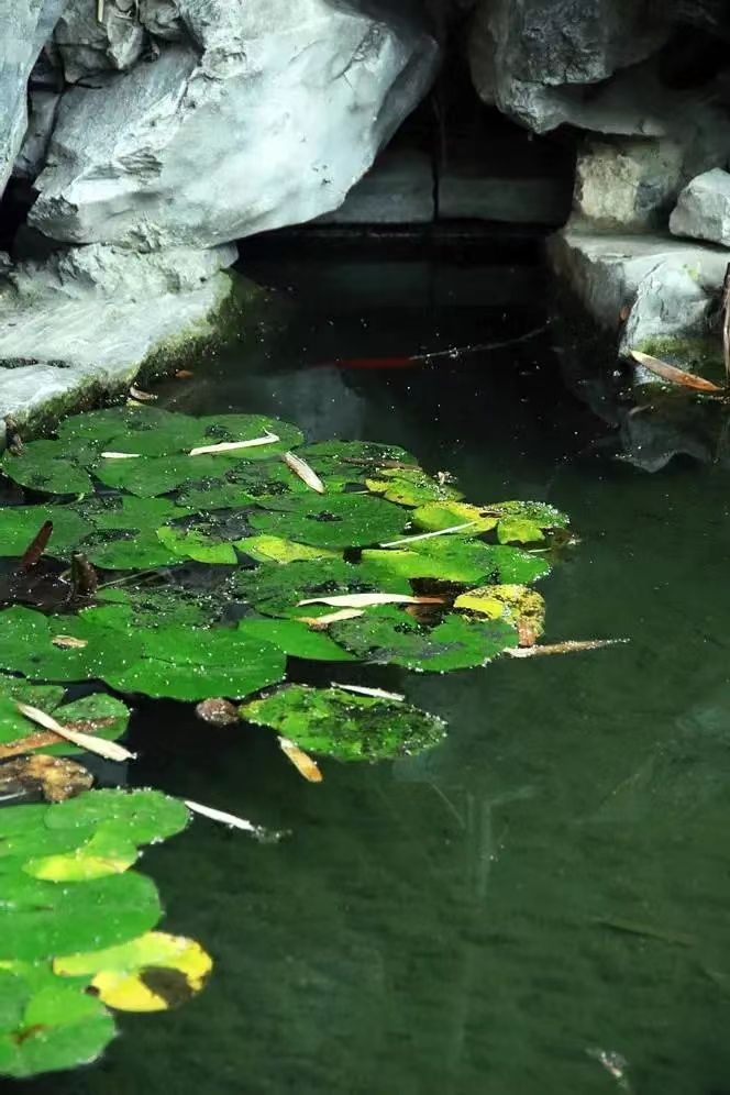 世界杯投注平台