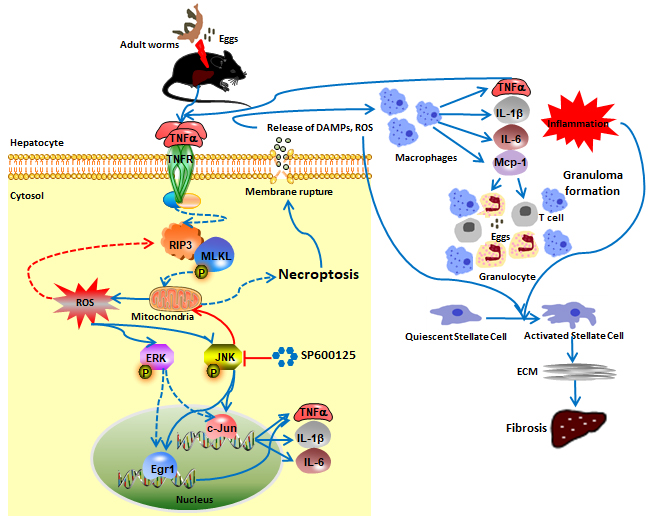 世界杯投注平台