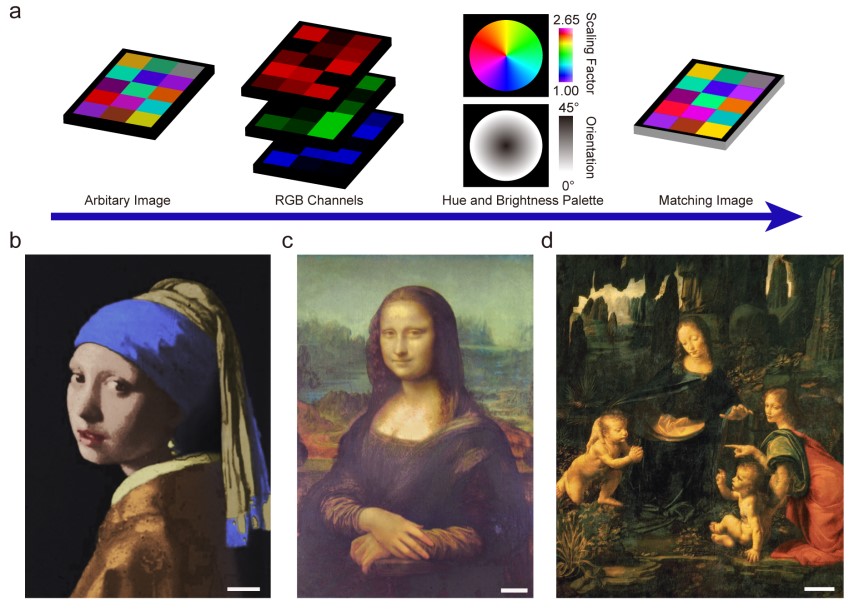 陆延青1 世界杯投注平台