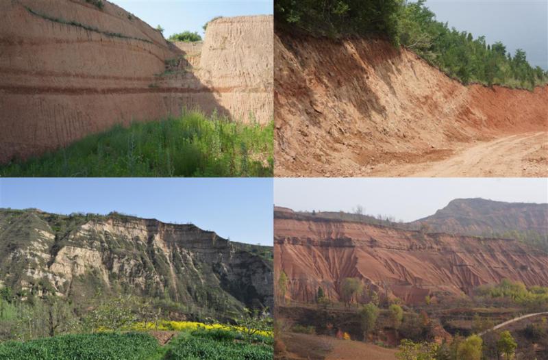 世界杯投注平台