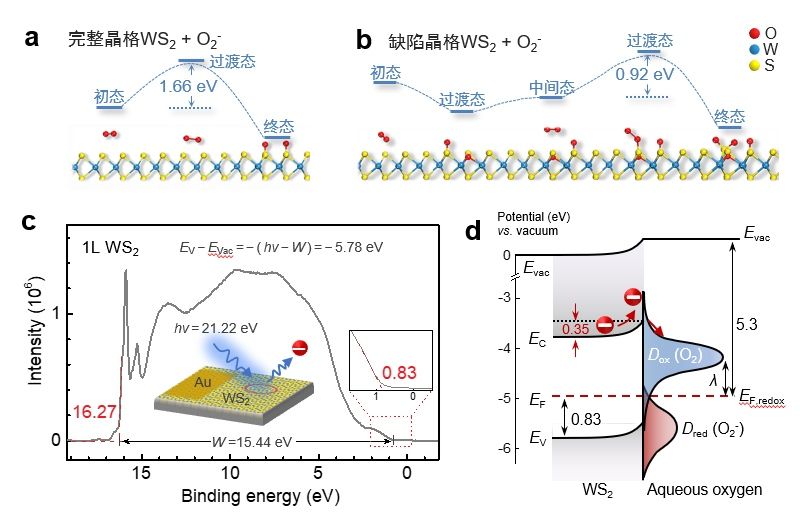 世界杯投注平台