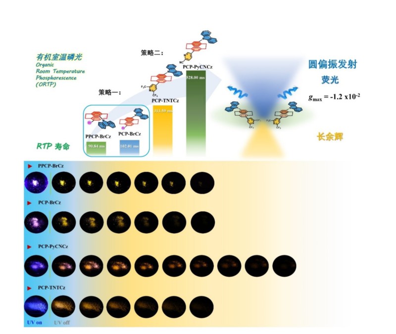 世界杯投注平台