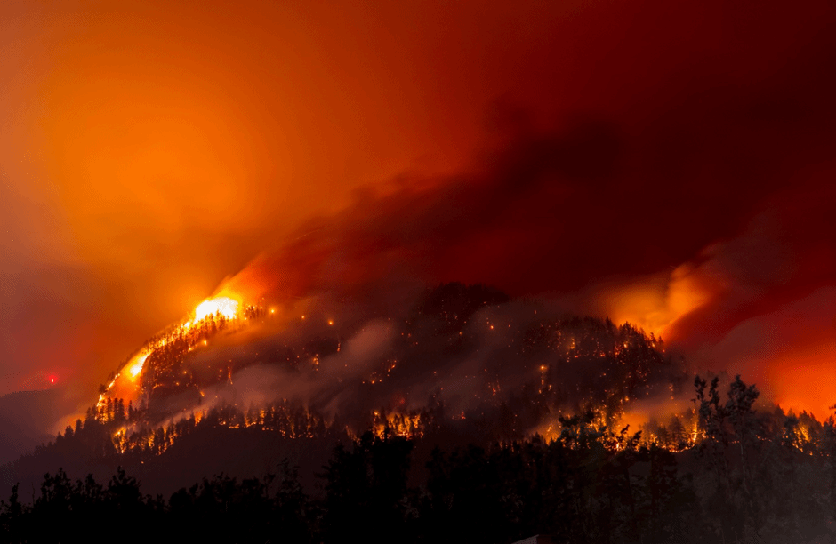 世界杯投注平台