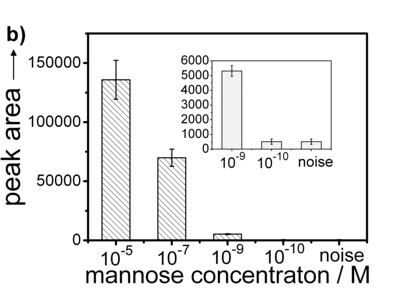 世界杯投注平台