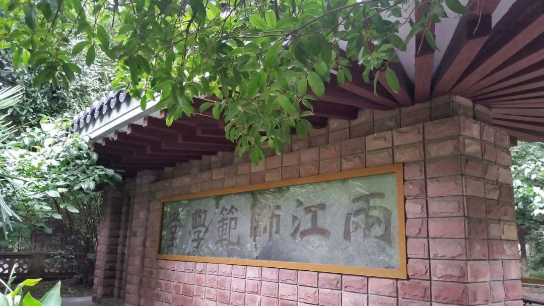 世界杯投注平台