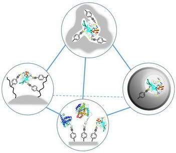 世界杯投注平台