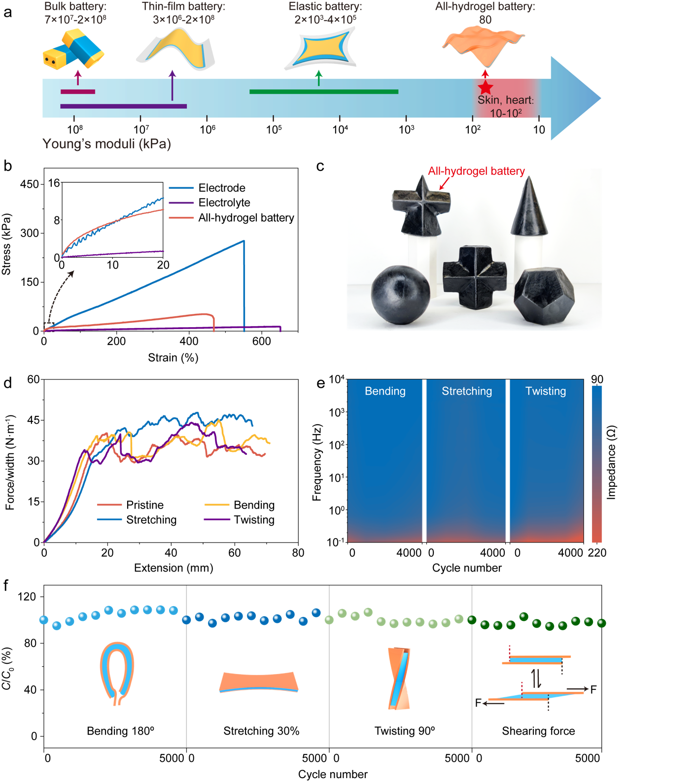 世界杯投注平台