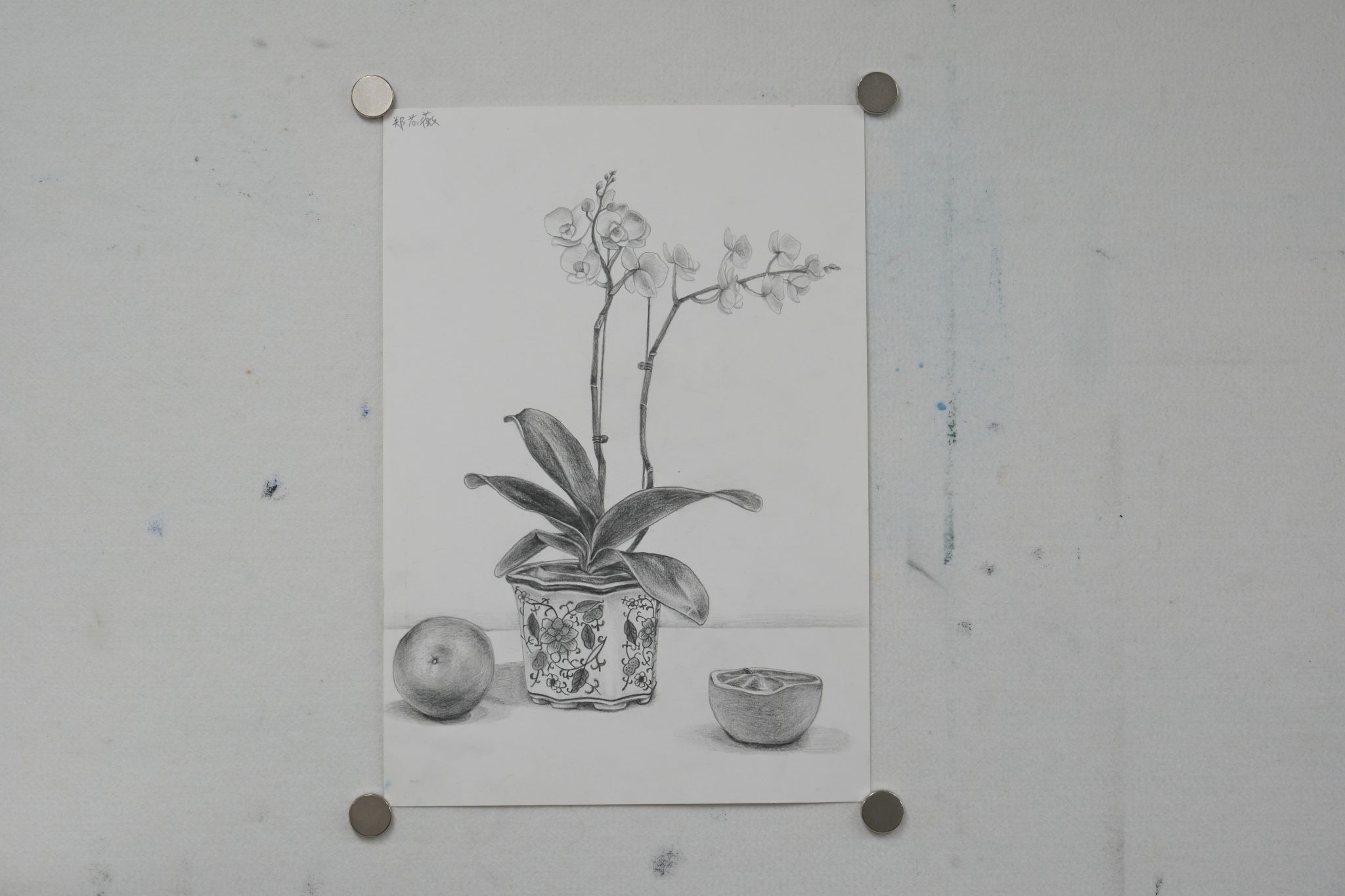 世界杯投注平台