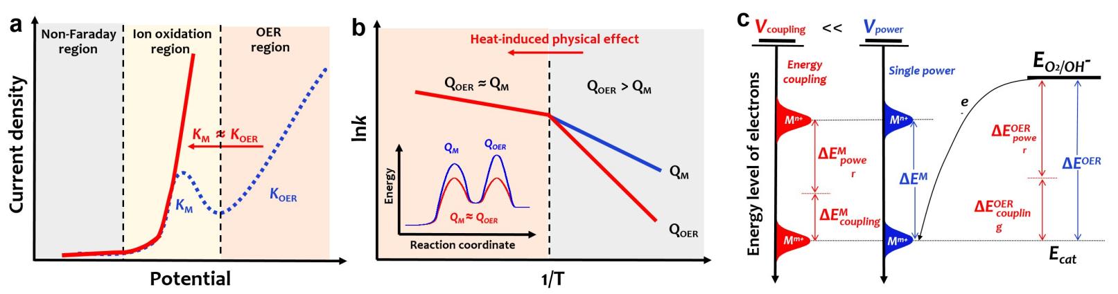 世界杯投注平台