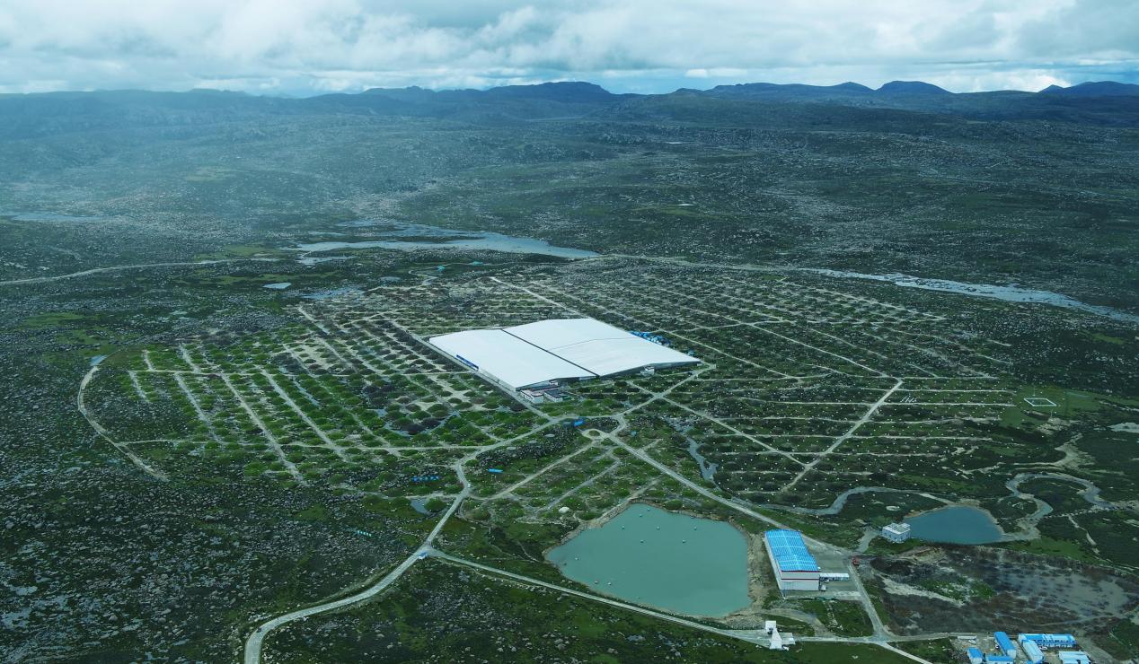 世界杯投注平台