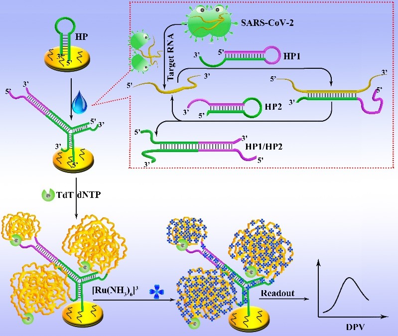 2 世界杯投注平台