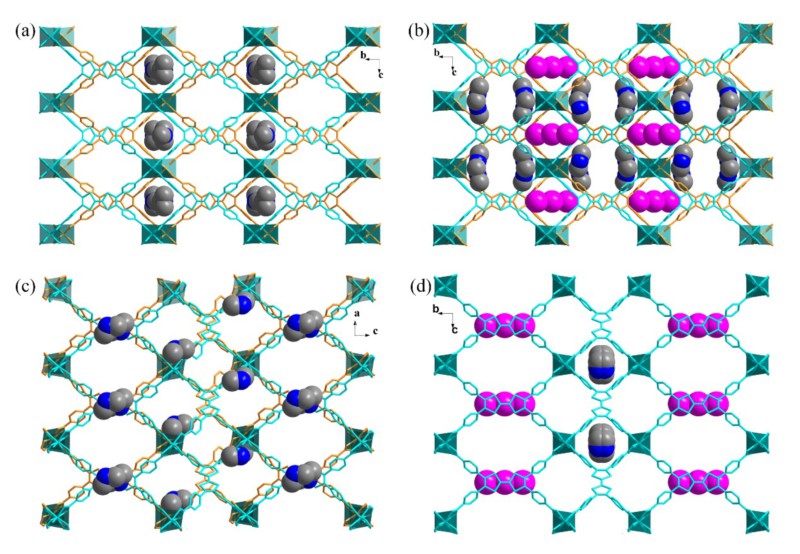 世界杯投注平台
