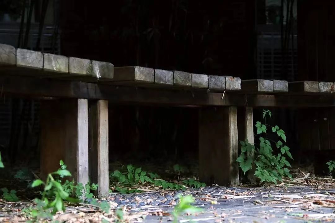 世界杯投注平台