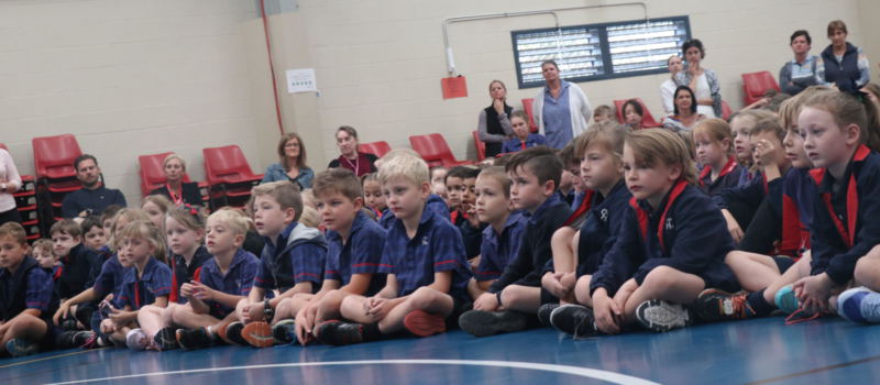 世界杯投注平台