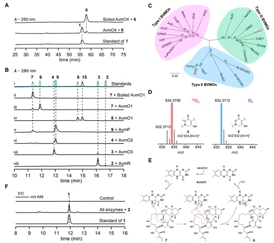5 世界杯投注平台