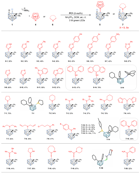 世界杯投注平台