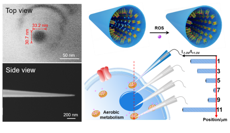 世界杯投注平台