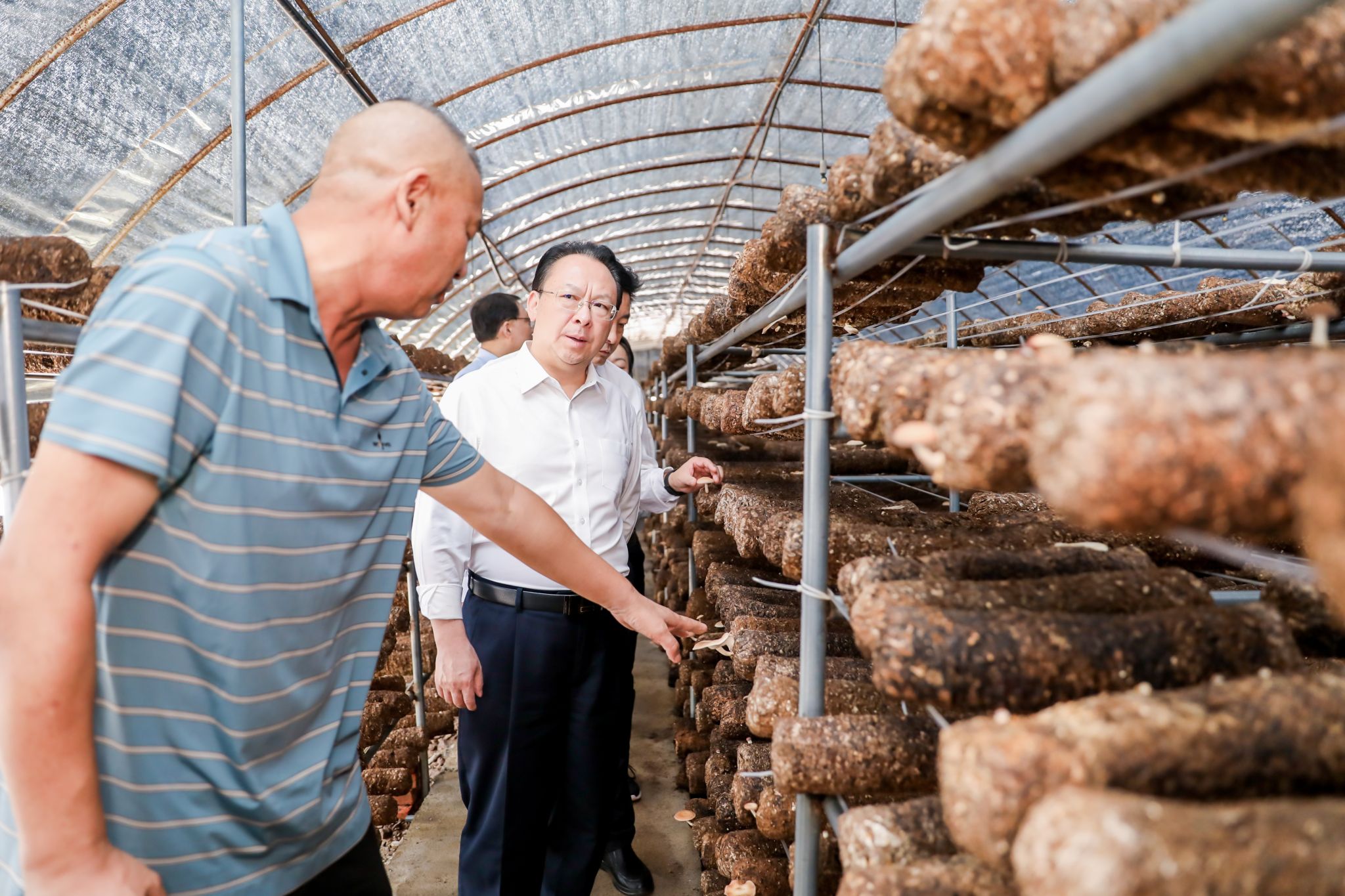 世界杯投注平台