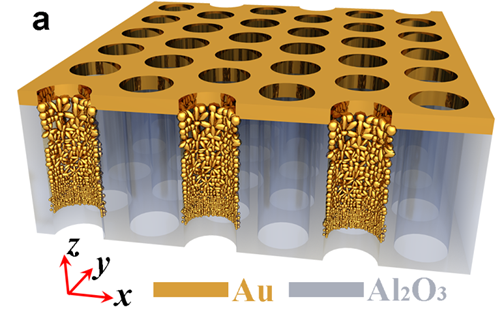 世界杯投注平台