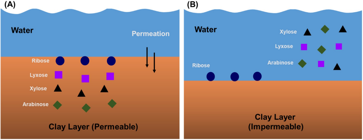 世界杯投注平台