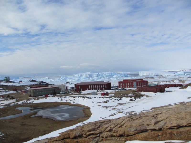 世界杯投注平台