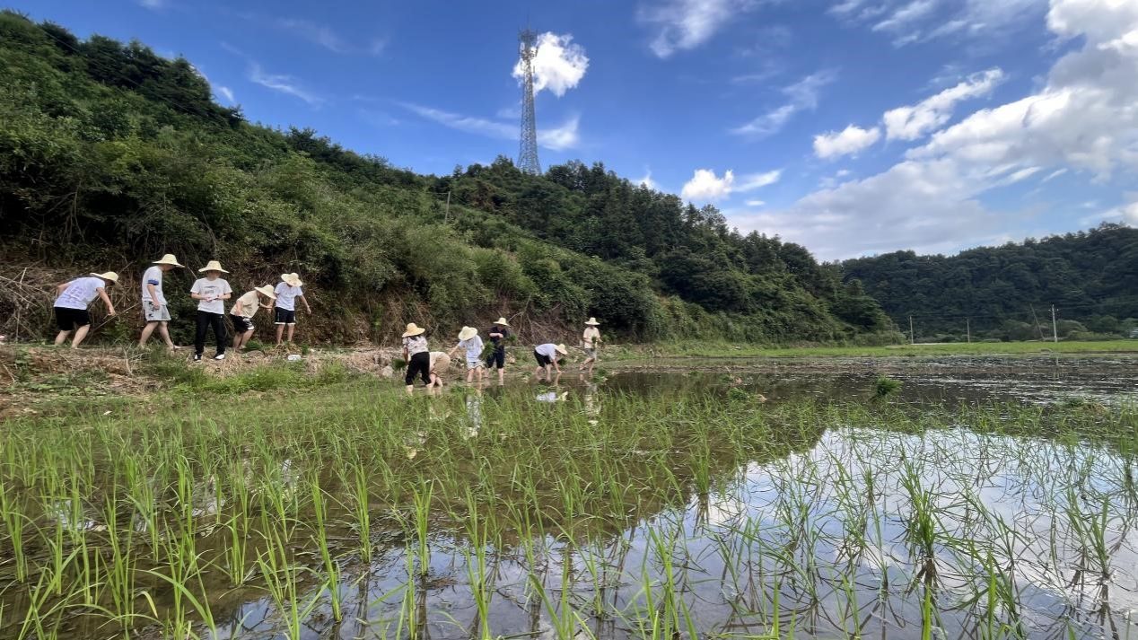世界杯投注平台