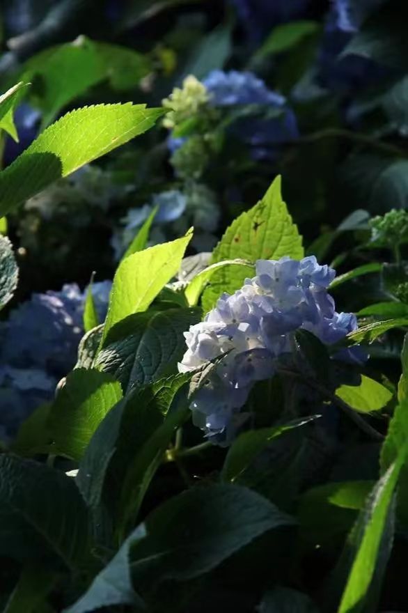 世界杯投注平台