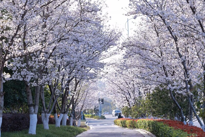 世界杯投注平台