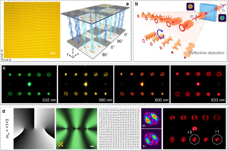 世界杯投注平台